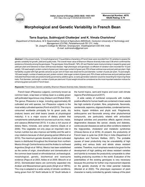 French beans benefits picture