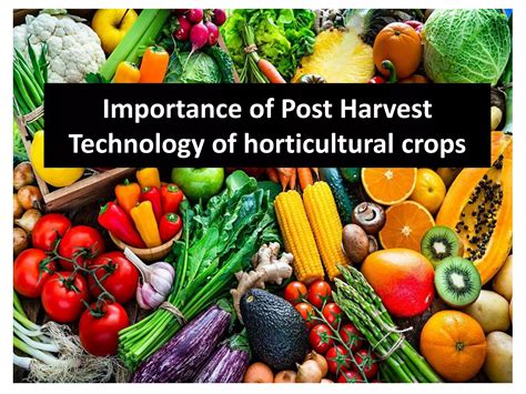 Post harvest technology pdf image